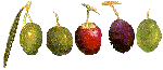 olives_vertes.jpg (4436 octets)